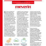 antincendio EPC 2025 07 MEVERIN